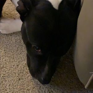 Meet your Posher, Carrie